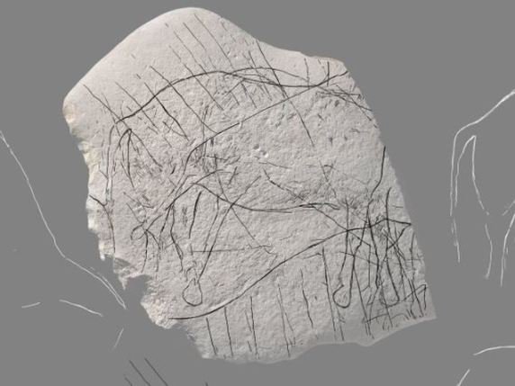 Présentes sur les deux faces, les gravures associent motifs figuratifs et géométriques (notamment des rayures). La plus visible montre celle d'un cheval sans tête. © Inrap/Twitter