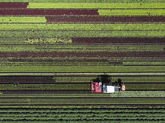 L'initiative populaire sur les pesticides de synthèse demande d'interdire l'utilisation de ces produits dans la production agricole ainsi que pour l'entretien des sols et des paysages (photo prétexte). © KEYSTONE/ANTHONY ANEX