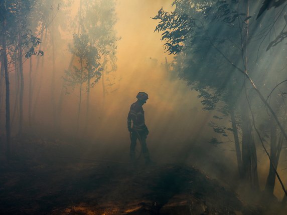 Plus de 700 pompiers et 240 véhicules ont été mobilisés, mais les vols des avions et des hélicoptères employés pour tenter d'éteindre les flammes ont été interrompus à la tombée de la nuit (archives). © KEYSTONE/EPA LUSA/MIGUEL A. LOPES