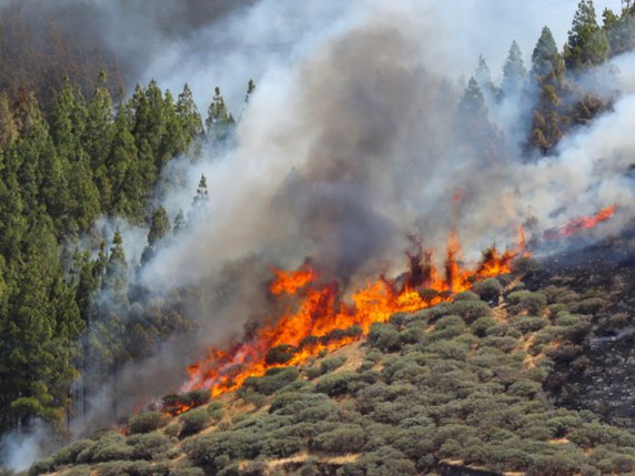 L'incendie "est au-delà des capacités d'extinction" des pompiers. © KEYSTONE/EPA EFE/ELVIRA URQUIJO A.