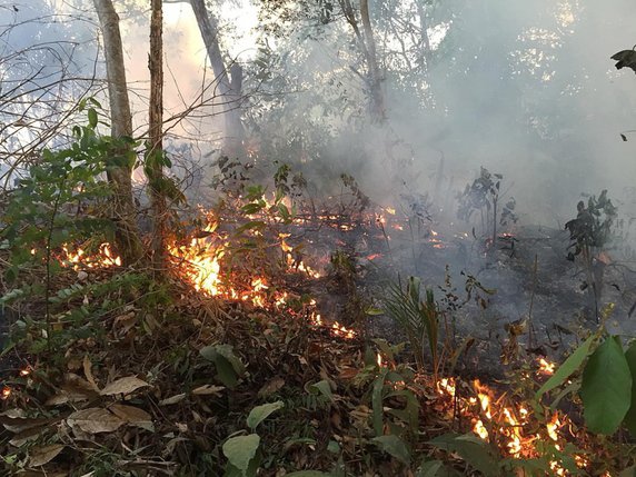 Selon des experts suisses, les causes des feux constatés en Amazonie sont de différentes natures. © KEYSTONE/EPA Porto Velho Firefighters/PORTO VELHO FIREF