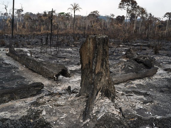 Le nombre d'incendies a augmenté de 1130 en 24 heures au Brésil. © KEYSTONE/AP/LEO CORREA