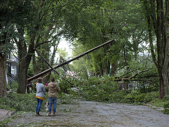 De nombreux arbres ont été déracinés à Halifax. © KEYSTONE/AP The Canadian Press/ANDREW VAUGHAN