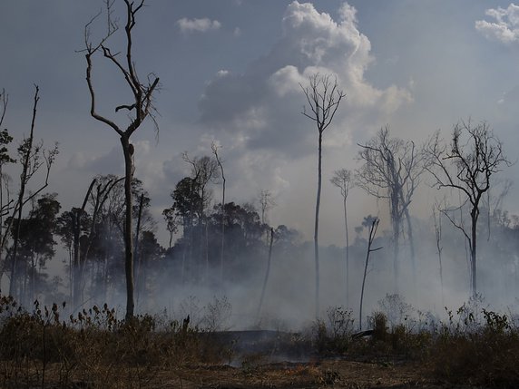 Plus de 96'500 incendies ont ravagé l'Amazonie rien qu'au Brésil depuis le 1er janvier 2019 (archives). © KEYSTONE/AP/LEO CORREA