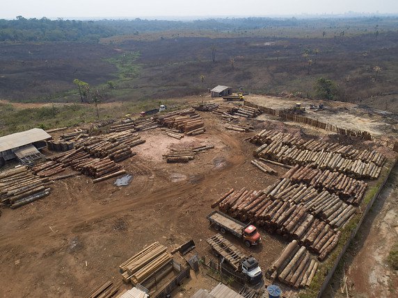 Les réseaux criminels ont la capacité logistique de coordonner la coupe, le débitage et la vente de bois à large échelle en Amazonie, selon HRW (archives). © KEYSTONE/AP/ANDRE PENNER