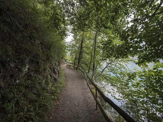 Les randonneurs ont à nouveau accès à l'ensemble du parcours de la Voie suisse, longeant la partie uranaise du lac des Quatre-Cantons (archives). © KEYSTONE/URS FLUEELER