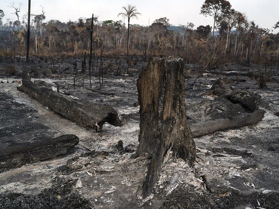 Outre la Bolivie, le Brésil a également été fortement touché par les feux de forêt (archives). © KEYSTONE/AP/LEO CORREA