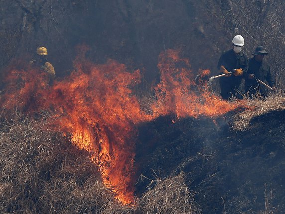 En Bolivie, les incendies ont ravagé plus de 4 millions d'hectares. Les experts estiment qu'au moins 2,3 millions d'animaux ont péri dans les flammes (archives). © KEYSTONE/AP/JUAN KARITA