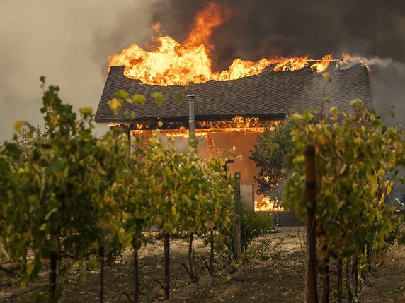 Un violent incendie sévissait jeudi dans une région viticole au nord de San Francisco, en Californie. Les flammes ont déjà brûlé plus de 4000 hectares. © KEYSTONE/EPA/PETER DASILVA