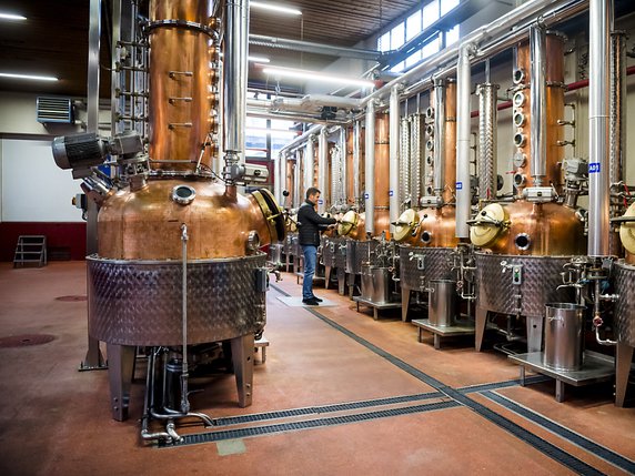 Les distilleries suisses, comme ici dans l'entreprise Morand à Martigny, ouvrent leurs portent au public samedi. © KEYSTONE/JEAN-CHRISTOPHE BOTT