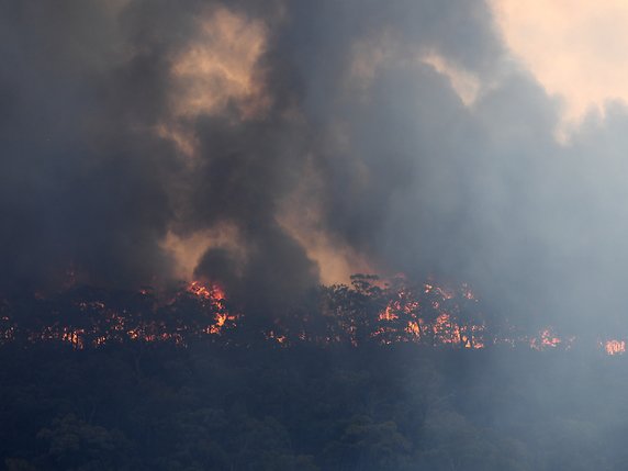 L'Etat de Nouvelle-Galles du Sud , ici Gospers Mountain au nord-ouest de Sydney, est particulièrement touché par les feux de brousse. © KEYSTONE/EPA AAP/DAN HIMBRECHTS