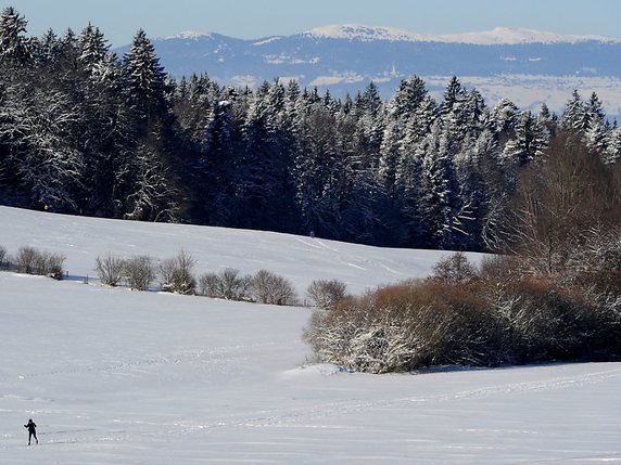 La municipalité de Lausanne veut créer un parc naturel dans les bois du Jorat, comme ici au Chalet-à-Gobet (archives). © KEYSTONE/JEAN-CHRISTOPHE BOTT