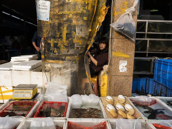 Plusieurs patients atteints de la mystérieuse pneumonie sont des vendeurs d'un marché de Wuhan spécialisé dans la vente en gros de fruits de mer et de poissons (photo d'illustration). © KEYSTONE/EPA/ALEKSANDAR PLAVEVSKI
