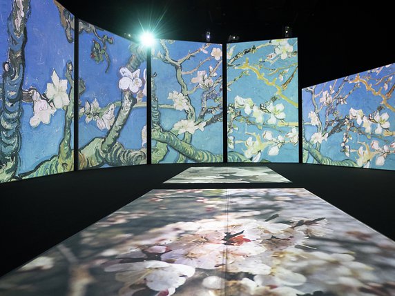 Les images de "Van Gogh Alive" sont projetées tant contre les murs que sur le sol de la halle Maag. © KEYSTONE/ENNIO LEANZA