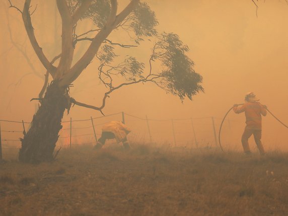 Au moins un cinquième des forêts ont été détruites par les incendies qui ont ravagé l'Australie (archives). © KEYSTONE/EPA/SEAN DAVEY