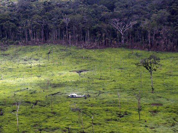 En 2019, 158'894 ha de forêt ont été détruits en Colombie contre 197'159 ha en 2018 et 219'173 ha en 2017.(archives). © KEYSTONE/EPA EFE/MAURICIO DUENAS CASTANEDA
