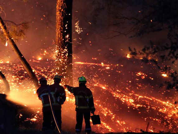 Le spectaculaire incendie de la forêt de Chiberta, en plein centre d'Anglet en France, avait ravagé le 30 juillet 167 hectares, sans faire de victimes (archives). © KEYSTONE/AP/Bob Edme