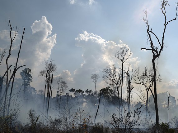 Les incendies en Amazonie ont augmenté de 28% en juillet par rapport à la même période de l'année dernière (archives). © KEYSTONE/AP/LEO CORREA