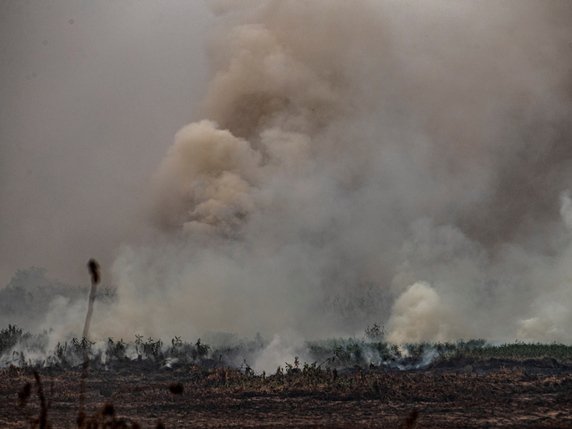 Les incendies ont détruit un cinquième, soit environ 30'000 kilomètres carrés, de zone humide des États du Mato Grosso et du Mato Grosso do Sul, ce qui représente une superficie plus grande qu'Israël. © KEYSTONE/EPA/Carlos Ezequiel Vannoni