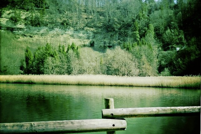 La réserve du lac de Pérolles offre une nature magnifiquement préservée. © Alain Wicht