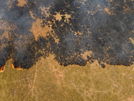 Le Pantanal, sanctuaire de biodiversité et plus grande zone humide de la planète, a subi en octobre 2856 incendies, son record mensuel depuis le début des observations en 1998 (archives). © KEYSTONE/EPA/ROGERIO FLORENTINO