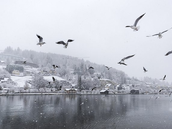 En Suisse alémanique, les précipitations ont été plus importantes. Ici à Unterägeri (ZG). © KEYSTONE/ALEXANDRA WEY