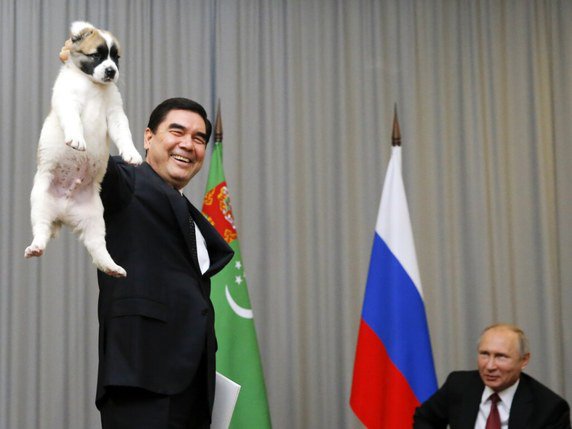 Gourbangouly Berdymoukhamedov avait offert un chien alabaï à Vladimir Poutine pour ses 65 ans en 2017. © KEYSTONE/EPA REUTERS POOL/MAXIM SHEMETOV / POOL