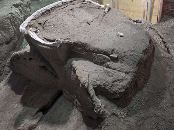 Le char a été découvert dans un porche devant une écurie où, déjà en 2018, les restes de 3 équidés, dont un cheval attelé, avaient été trouvés. © KEYSTONE/EPA/Press Office of the Archaeological Park of Pompeii HAN
