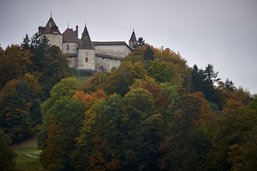 Deux Verts au Conseil communal de Gruyères