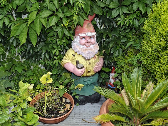 Les Anglais aiment les nains de jardin (image prétexte) © KEYSTONE/KARL-HEINZ HUG