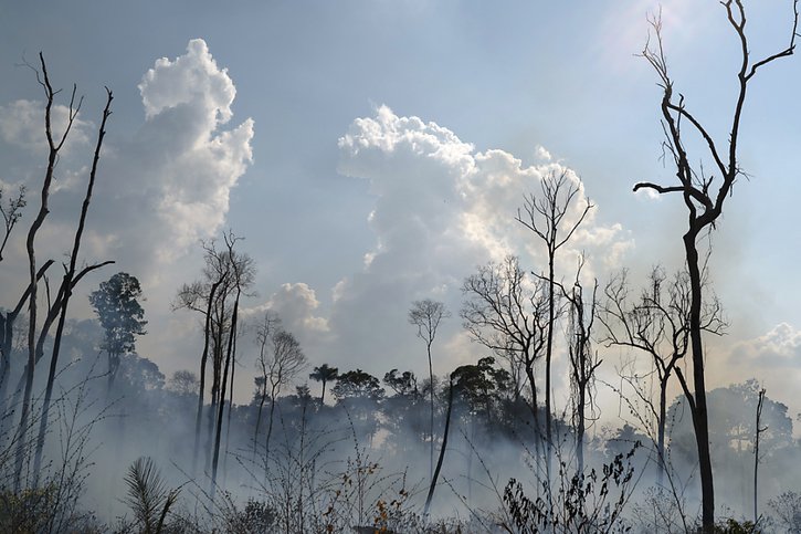 Durant les douze mois qui ont précédé août 2020, la déforestation en Amazonie a augmenté de 9,5%, détruisant une surface supérieure à celle de la Jamaïque, selon des données officielles (archives). © KEYSTONE/AP/LEO CORREA