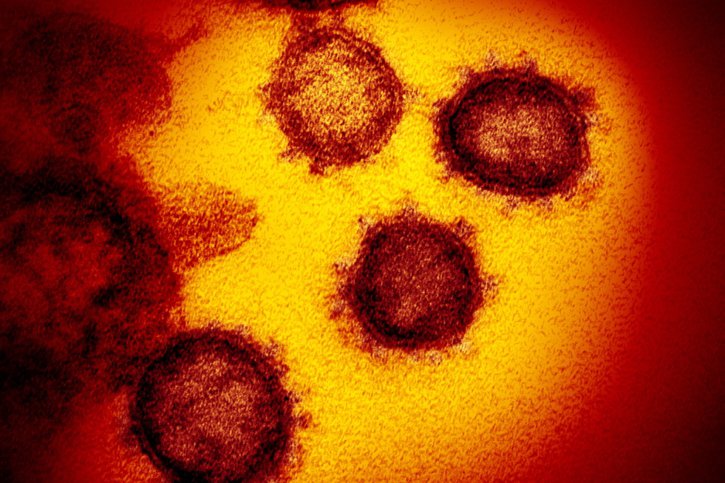 Les vaccins à ARN messager restent efficaces contre le variant indien du coronavirus, selon le président de la commission fédérale pour les vaccinations (archives). © KEYSTONE/EPA NATIONAL INSTITUTES OF HEALTH/NIAID- RML/NATIONAL INST