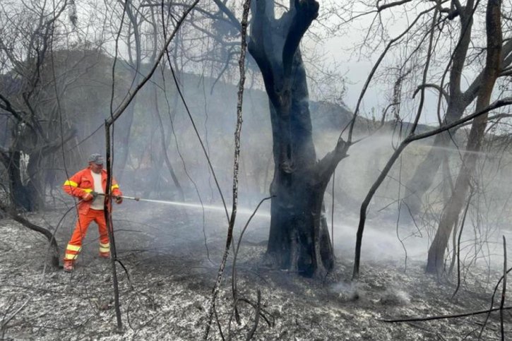 Les récents incendies ont ravagé quelque 20'000 hectares de forêt en Sardaigne (archives). © KEYSTONE/EPA/MANUELE SCORDO