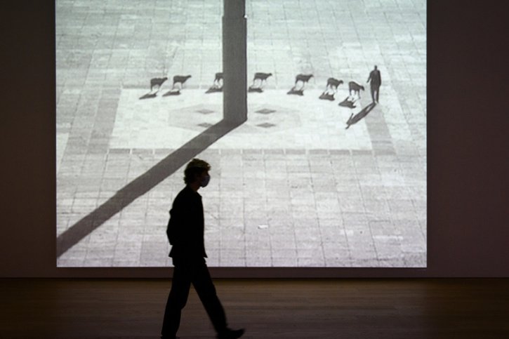 L'exposition temporaire de l'artiste contemporain belge Francis Alÿs, "As Long as I'm Walking", est à voir dès vendredi et jusqu'au 16 janvier prochain au Musée cantonal des Beaux-Arts (MCBA) à Lausanne. © Keystone/LAURENT GILLIERON