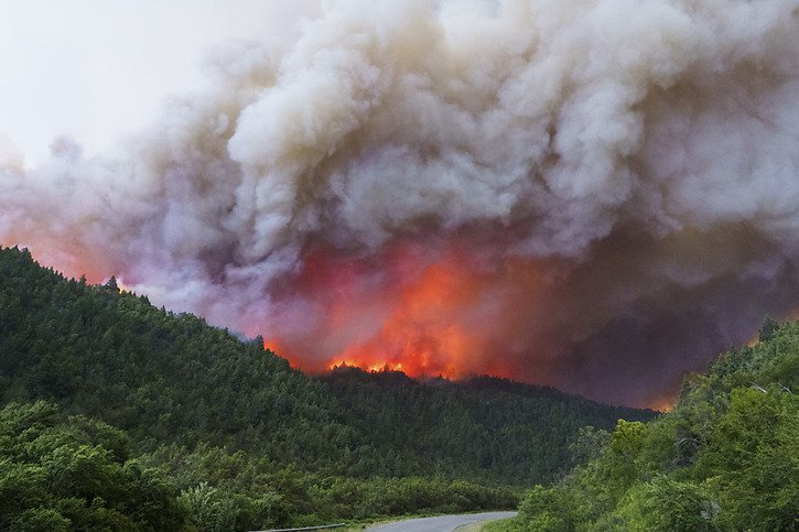 Le feu actif depuis le 6 décembre a détruit 5900 hectares de forêt andine indigène. © KEYSTONE/AP/Cristian Kovadloff