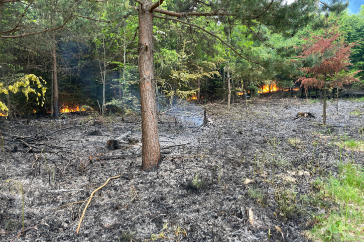 Incendie dans une forêt à Cousset, appel à témoins
