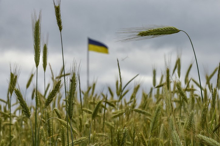 La guerre en Ukraine menace la sécurité et aussi l'approvisionnement alimentaire mondial (archives). © KEYSTONE/EPA/OLEG PETRASYUK