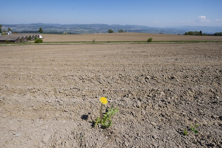 L'agriculture est une des premières à subir les conséquences de la chaleur, souvent associée à la sécheresse (Photo d'illustration). © KEYSTONE/URS FLUEELER