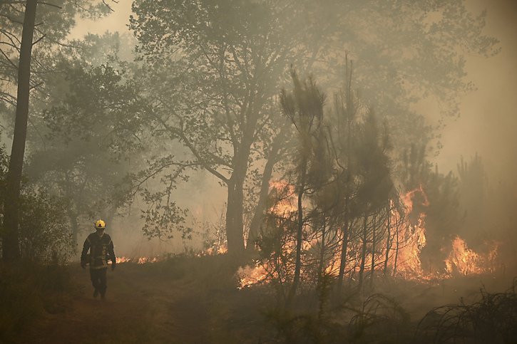 La sécheresse et les températures caniculaires, ainsi qu'un air très sec créent toujours un risque très sévère d'éclosion de feu (image symbolique). © KEYSTONE/AP/Philippe Lopez
