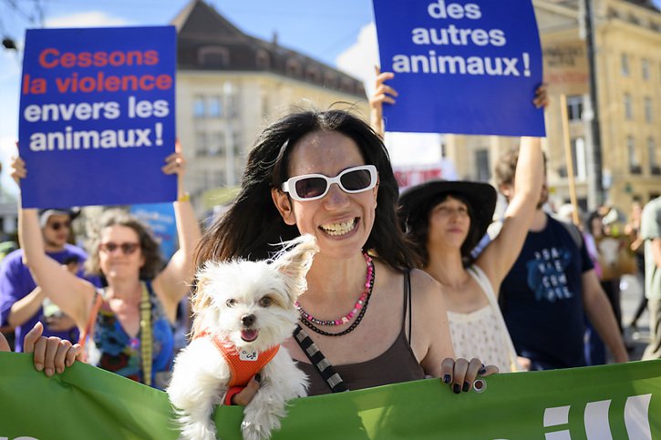 Certains manifestants étaient accompagnés de leur chien. © KEYSTONE/LAURENT GILLIERON