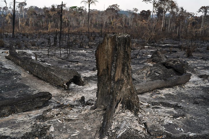 La déforestation, le trafic de drogue et la contamination ont amené l'Amazonie à un point de non-retour (archives). © KEYSTONE/AP/LEO CORREA