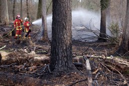 Le manque d’eau pourrait compliquer l’extinction des incendies de forêt