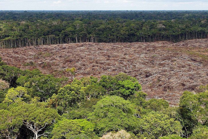 Depuis l'arrivée au pouvoir en janvier 2019 de Jair Bolsonaro, la déforestation annuelle moyenne en Amazonie brésilienne a augmenté de 75% par rapport à la décennie précédente (archives). © KEYSTONE/EPA EFE/MARCELO SAYAO