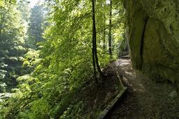 Le sentier de la Vallée du Gottéron est à nouveau accessible