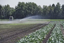 Sécheresse: le Grand Conseil n'est pas «chaud» pour aider l’agriculture