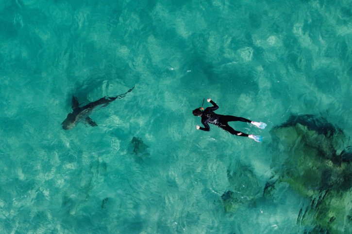 Un requin d'une espèce inconnue a tué une adolescente en Australie (photo d'illustration). © KEYSTONE/EPA/ABIR SULTAN