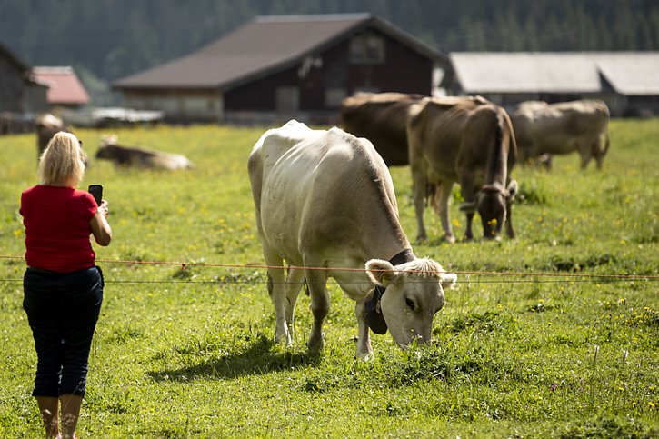 La gauche et le PVL tenteront d'insuffler un peu plus de biodiversité dans l'agriculture suisse (photo d'illustration). © KEYSTONE/ALEXANDRA WEY