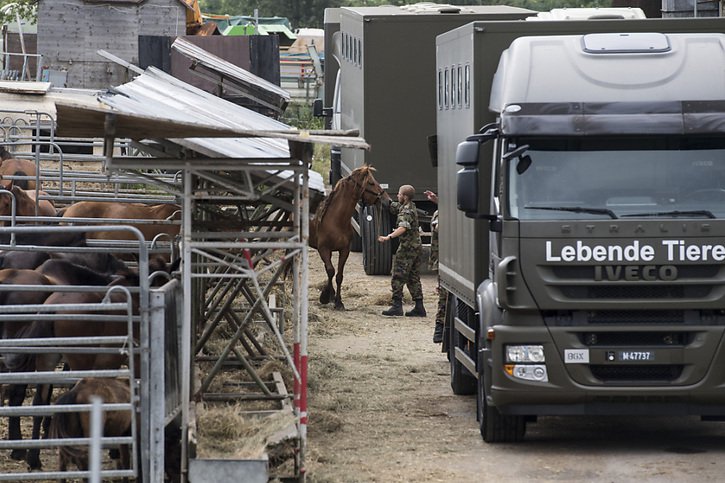 Le 8 août 2017, la police a saisi les animaux détenus sur l'exploitation de Hefenhofen (TG), chevaux en tête, avec l'aide de l'armée (archives). © KEYSTONE/ENNIO LEANZA