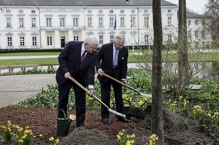 Le roi Charles, à droite, et le président allemand Frank-Walter Steinmeier, à gauche, plantent un arbre dans le jardin du palais présidentiel de Bellevue. © KEYSTONE/AP/Jens Schlueter