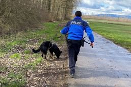 Un chien de police retrouve deux malfrats